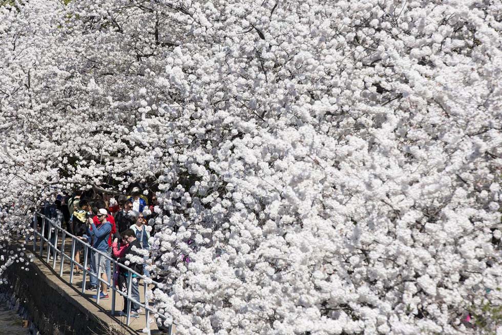 ȫ����ӭ��Ѥ��ӣ���� �����续