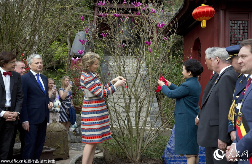 ͼΪ�뿪����è԰������Ԫ�׷򸾹�ͬΪһ�������������������������������Ԫ���ں�˿������ʣ������º���ٶ������󽫺�˿��ϵ����֦�ϡ�����IC