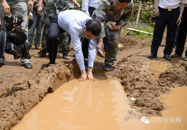 2014����������