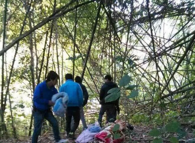 �й���ľ���山����·�����ۏ�Ӷ�׷��