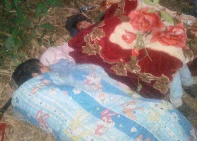 �й���ľ���山����·�����ۏ�Ӷ�׷��