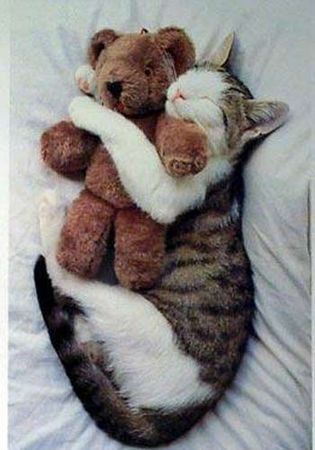 ����˯�˿�������ҵ��