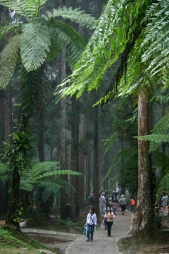 �����о�Ϫͷ��