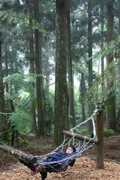 �����о�Ϫͷ��