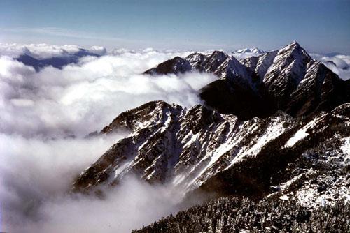 �Ϻ���ɽ�����л������ͨ���۹���ṩ����Ӱ�ߣ�֣����