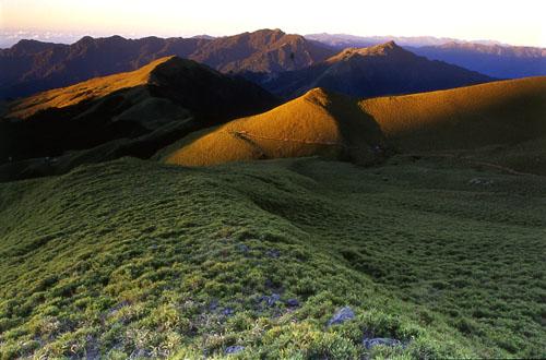 �����Ϸ�����л������ͨ���۹���ṩ����Ӱ�ߣ���ε��