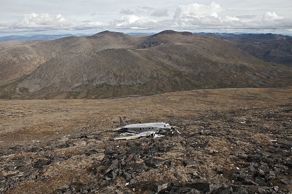 ȫ�������Ŀ����ż�