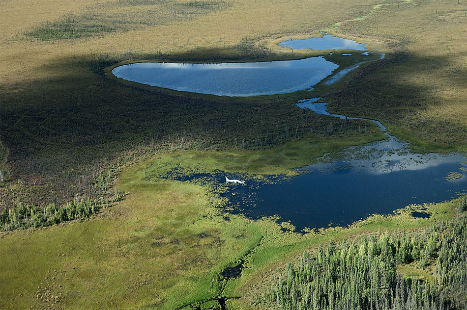 ȫ�������Ŀ����ż�