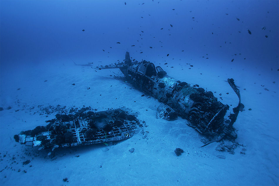 ȫ�������Ŀ����ż�