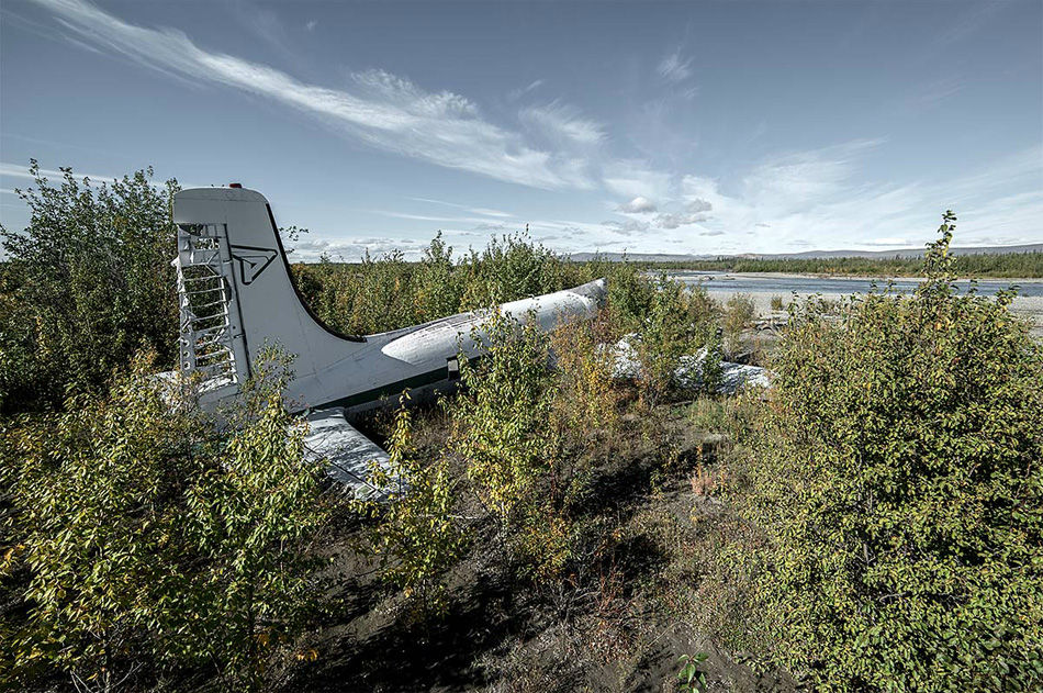 ȫ�������Ŀ����ż�