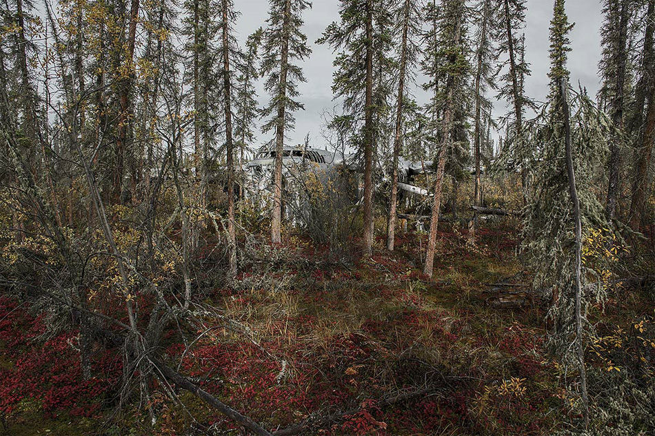 ȫ�������Ŀ����ż�