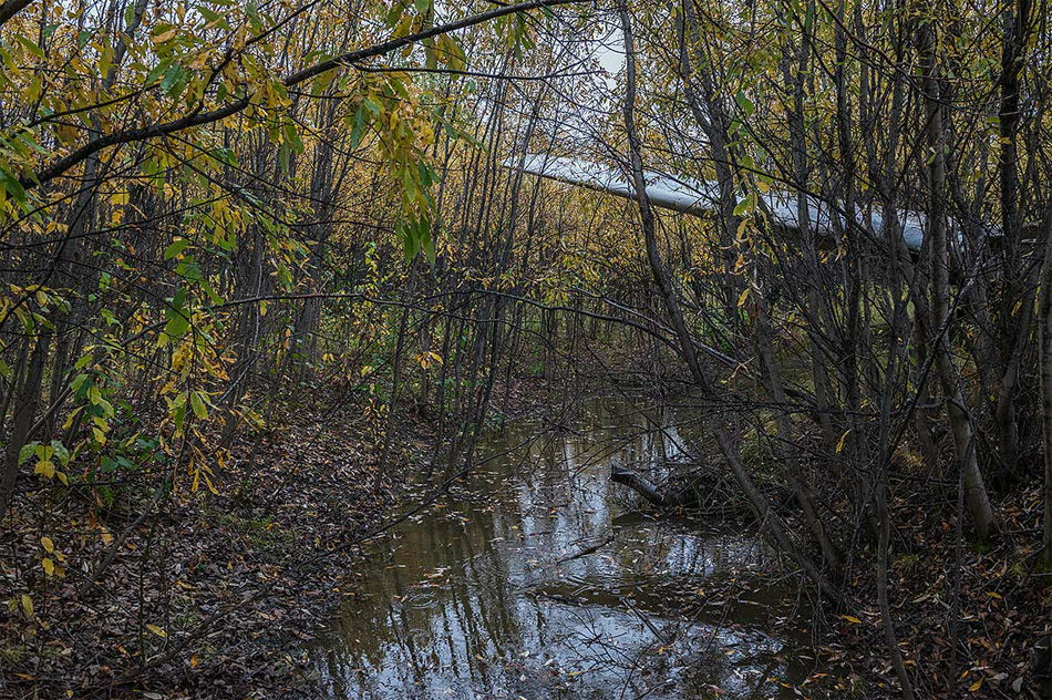 ȫ�������Ŀ����ż�