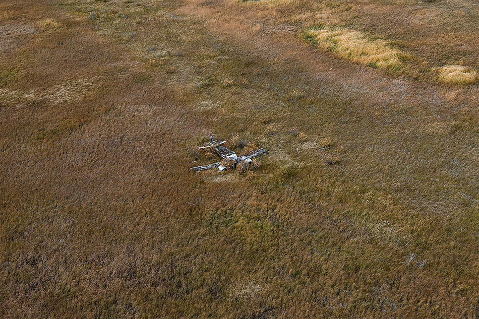 ȫ�������Ŀ����ż�