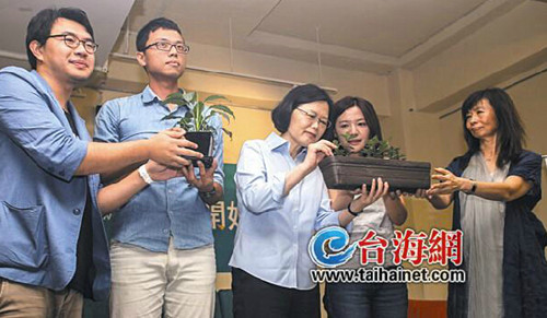 台湾村里长选举“毛细血管”里的“暗战”