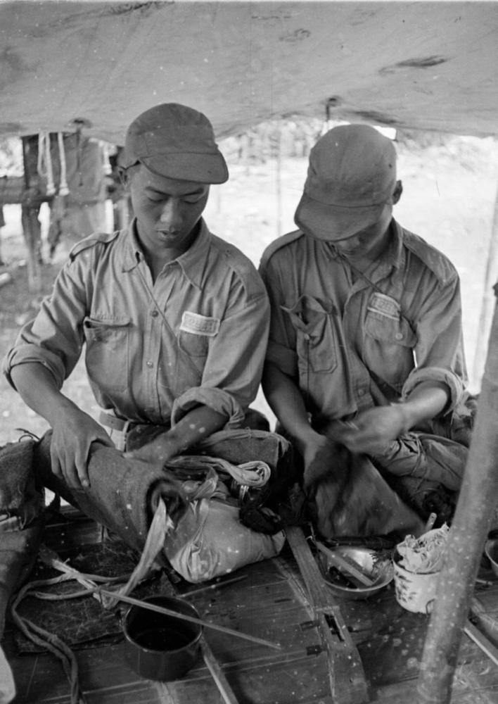 1953����񵳲о��������ȫ����