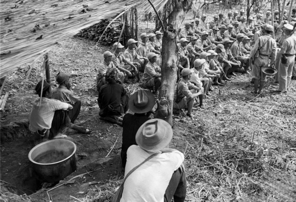 1953����񵳲о��������ȫ����