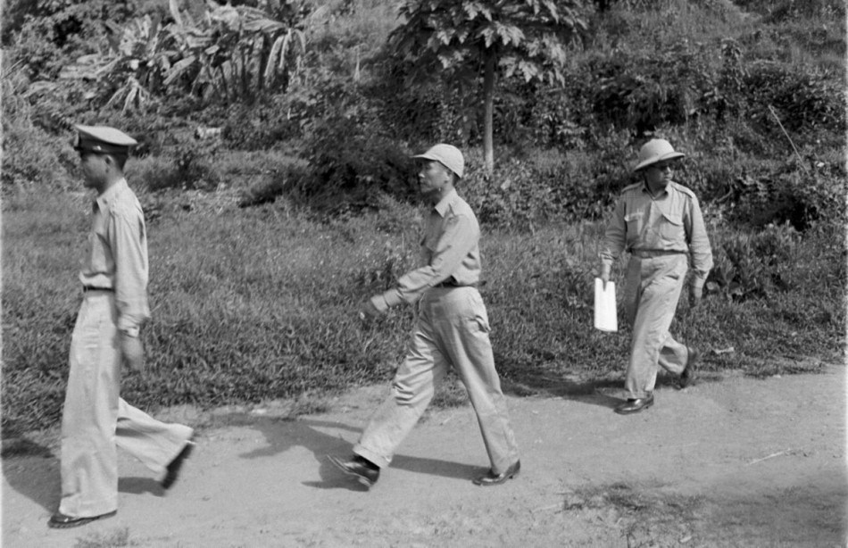 1953����񵳲о��������ȫ����