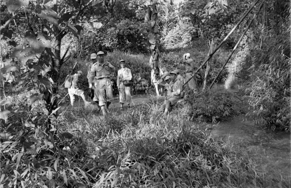 1953����񵳲о��������ȫ����