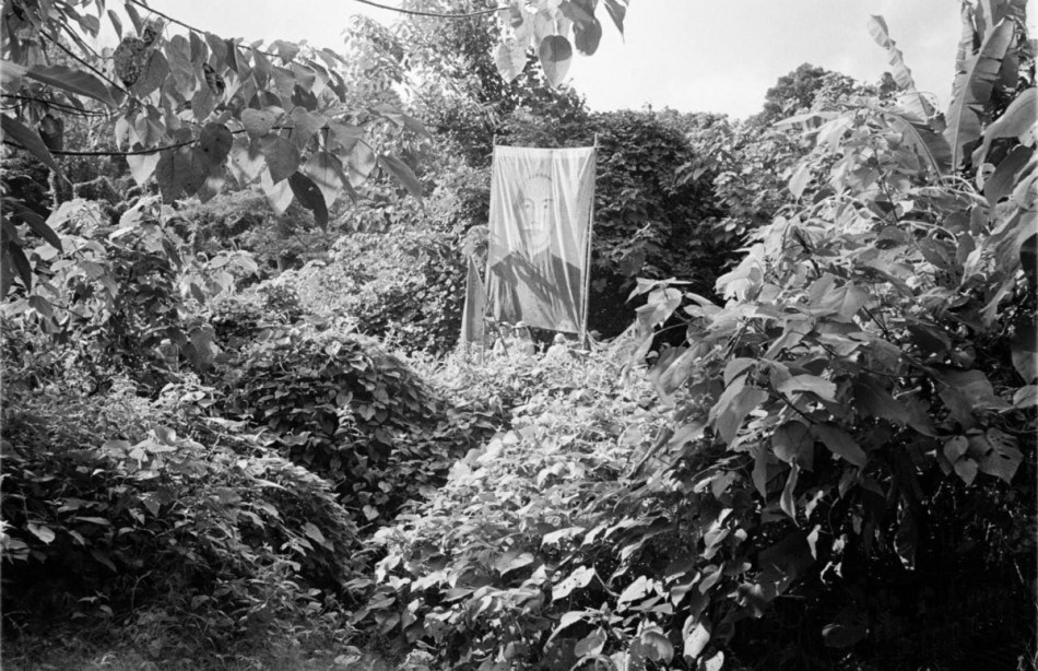 1953����񵳲о��������ȫ����