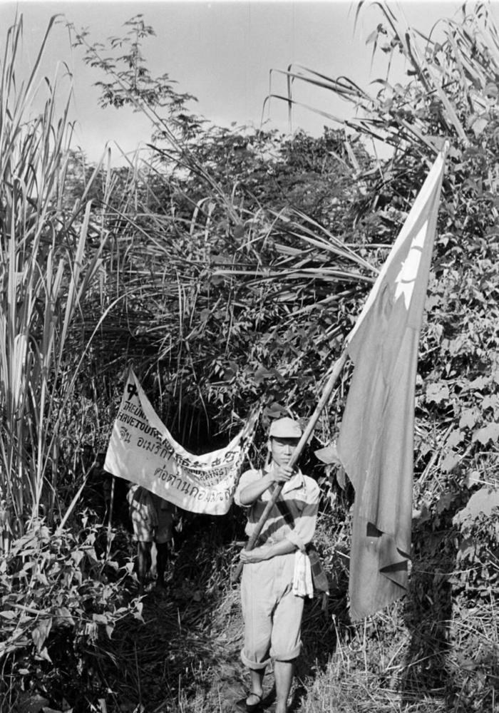 1953����񵳲о��������ȫ����