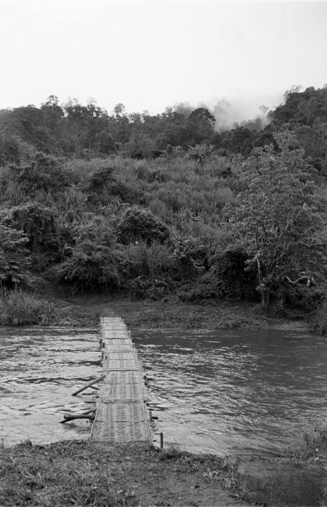 1953����񵳲о��������ȫ����