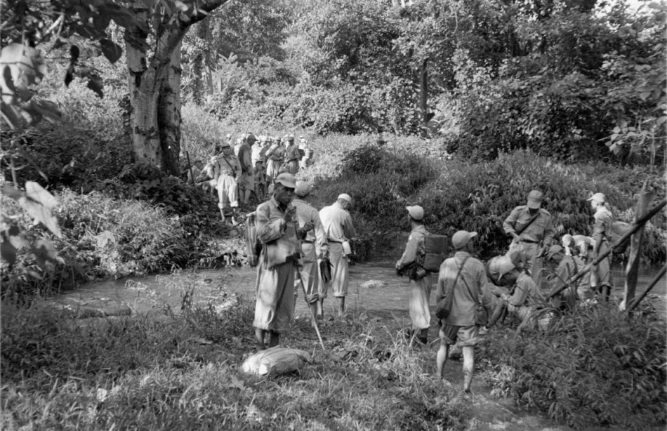 1953����񵳲о��������ȫ����