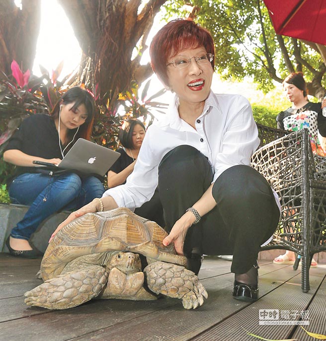 洪秀柱宣布将参加2016党内初选 洪秀柱宣布将参加2016党内初选