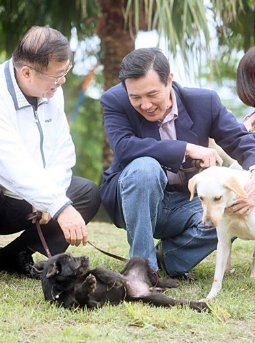 马英九赞自家宠物“马小九”一表“狗”才(图)