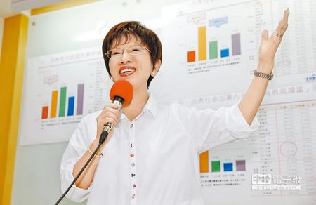 国民党初选事务洪秀柱:马英九最好别介入