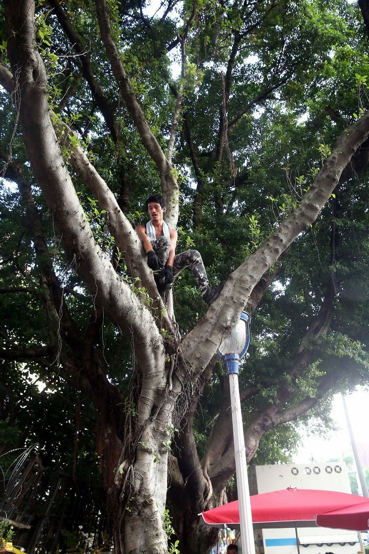 "白狼"张安乐携抗日人士后代路过"教育部" 规劝学生 "白狼"张安乐携抗日人士后代路过"教育部" 规劝学生