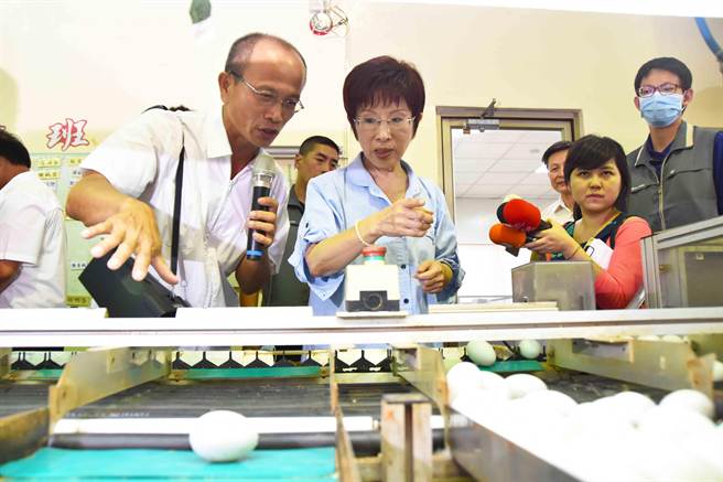洪秀柱边看边问,了解鸭蛋分类过程。(许智钧摄) 洪秀柱边看边问,了解鸭蛋分类过程。(许智钧摄)
