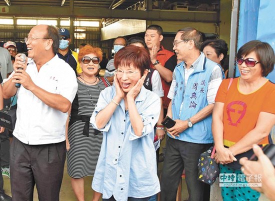 洪秀柱接受台媒专访:政策明确一定会逆转胜