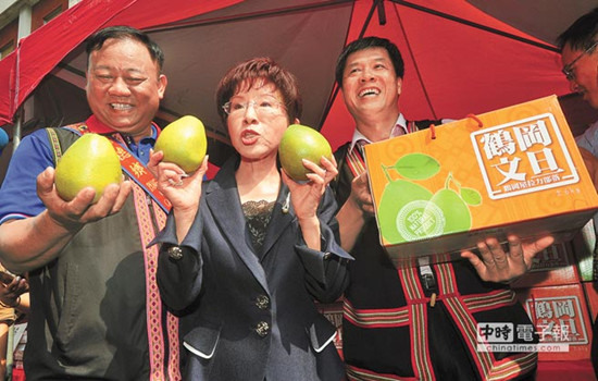 洪秀柱将拍微电影出新书花小钱打文宣战(图)