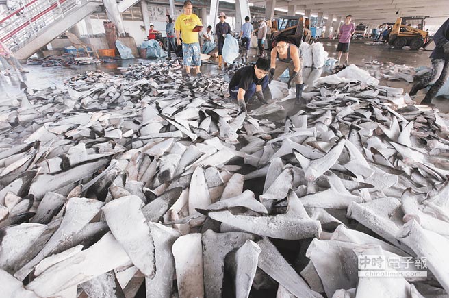 ̨�������洬����Υ��������������Ⱥ������