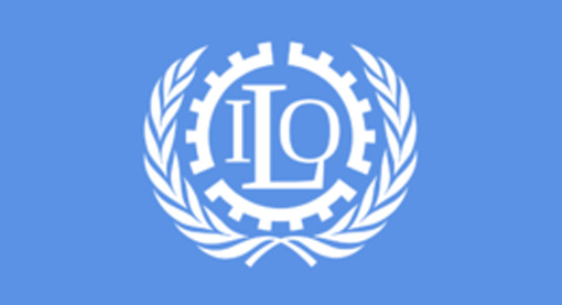 ̨����������͹�����ɱ�����Ϲ�����������֤���ļ�