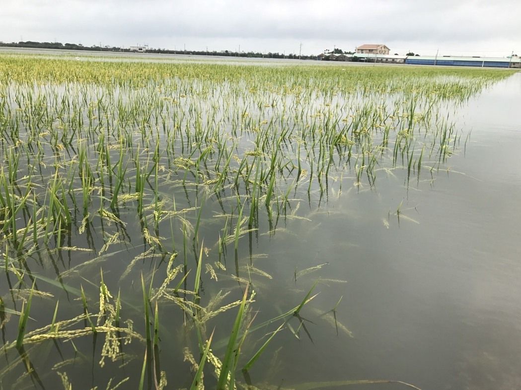 �����в̵���"����¼" ���̹�Աֻ���������ο�ˮ