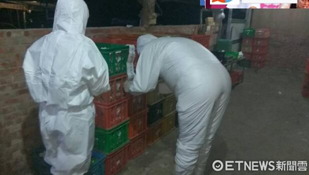 台“农委会”才验完鸡蛋场宣告没事 嘉义又爆毒蛋 台“农委会”才验完鸡蛋场宣告没事 嘉义又爆毒蛋