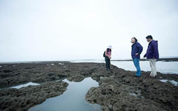 ̨ѰǲӢľʹԽʱյĴ