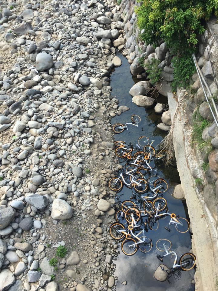 全台只此一家的共享单车被虐惨:要告状!要求偿! 全台只此一家的共享单车被虐惨:要告状!要求偿!