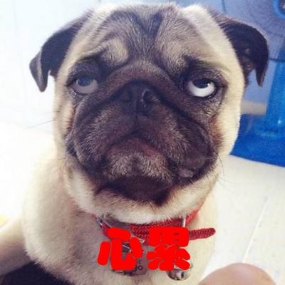 ̨־ӭתϷ ̵ΪȥС̻һ