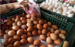 ���ΰ��������������������� ��ǧ���С��ɶ���֮���ࣿ.jpg