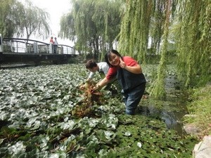 ��������̶������ǻ� �οͽ������鸴�Ų�����