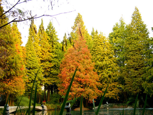 ��һ�������� �û���������ɫ�ͷ�