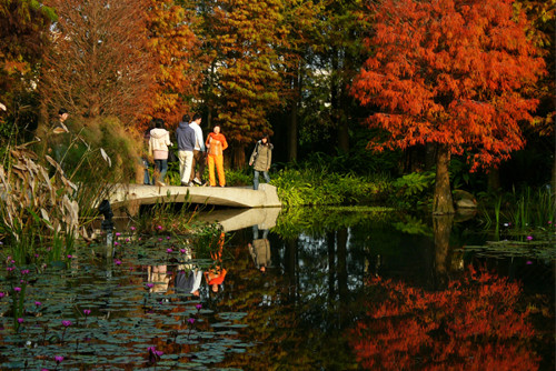 ��һ�������� �û���������ɫ�ͷ�