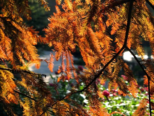 ��һ�������� �û���������ɫ�ͷ�