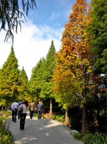 ��һ�������� �û���������ɫ�ͷ�