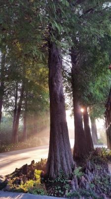 ��һ�������� �û���������ɫ�ͷ�