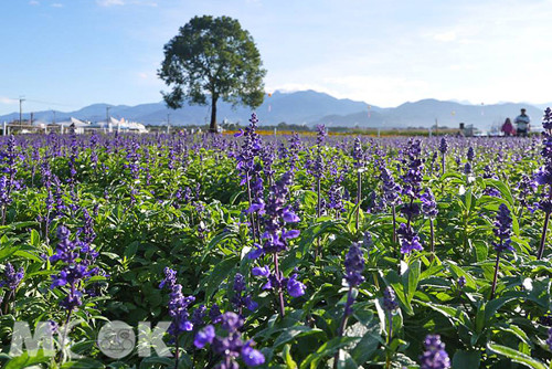 2014���绨���ڽ��ǳ� �ͷ׻���������̨��