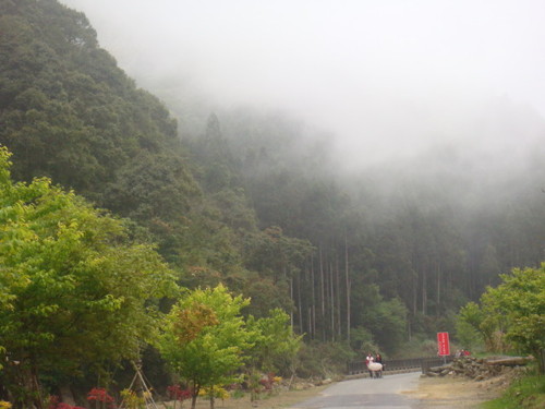 ̨������Ҷ�鱨 �Ͱ���ɽ�����桱����ʱ