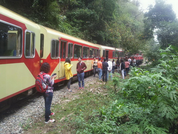 ����ɽɭ��С���ѹ� ��λ�˿�����������